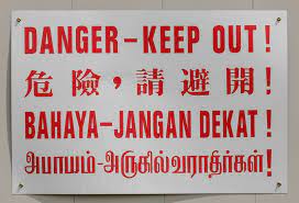 language spoken in singapore